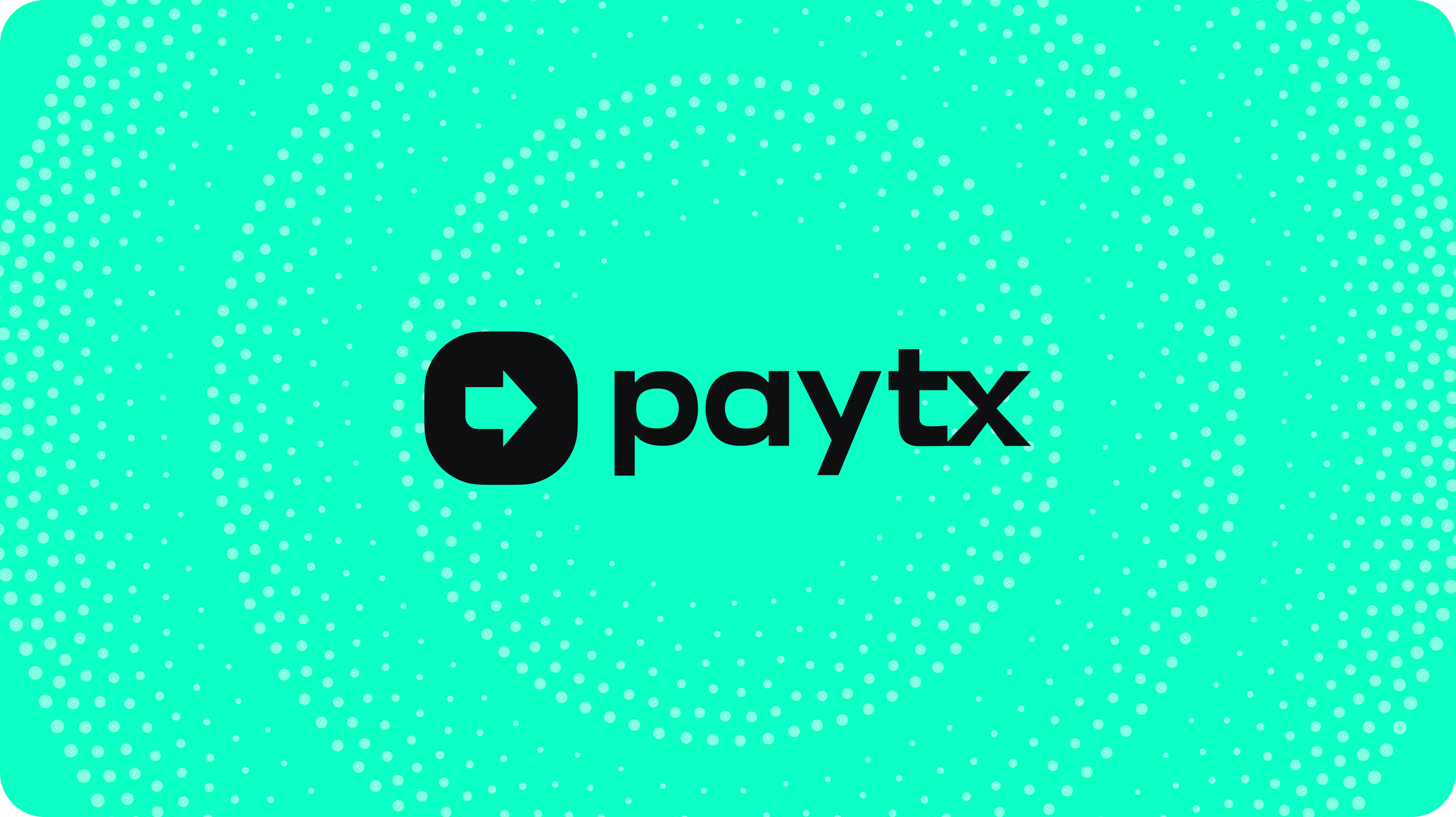 Goodface agency - PayTX case - Logo.png - PayTX project: UX/UI Design, website development, logo, brand identity - api.goodface.works